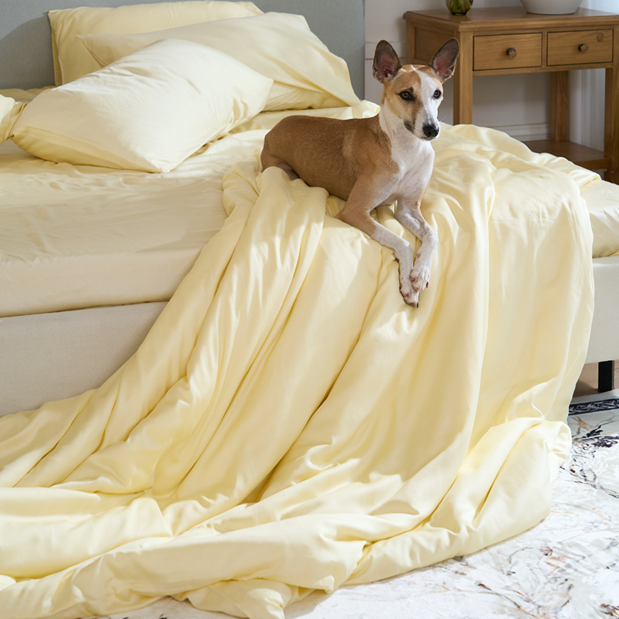 Todas as roupas de cama – Slashop BR