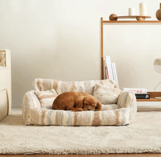 Brinquedos e acessórios para animais