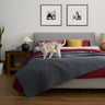 Inkwell grey