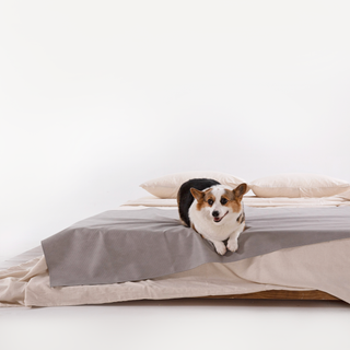 Colcha impermeável — resistente a arranhões para a família de cães/gatos
