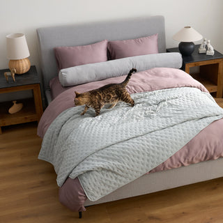 Conjunto de edredões com estampa pontilhada FURRFREE — repelente de pelos de animais de estimação para famílias com cães/gatos