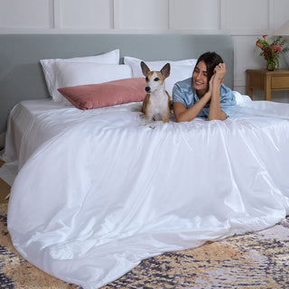 Conjunto de lençóis de bambu e capa de edredom FURRFREE — Repelente de pelos de animais de estimação para famílias de cães/gatos — Venda final