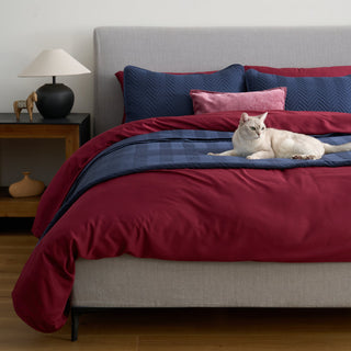 Conjunto de edredões FURRFREE — repelente de pelos de animais de estimação para famílias de cães/gatos