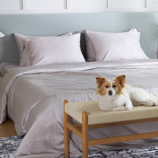 Conjunto de lençóis com elástico de bambu FURRFREE — Repelente de pelos de animais de estimação para famílias de cães/gatos — Venda final