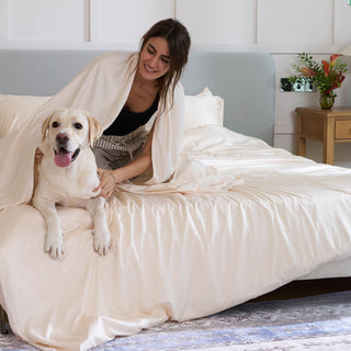 Conjunto de lençóis de bambu e capa de edredom FURRFREE — repelente de pelos de animais de estimação para famílias de cães/gatos