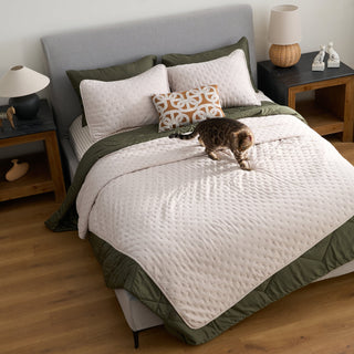 Conjunto de edredões FURRFREE — repelente de pelos de animais de estimação para famílias de cães/gatos