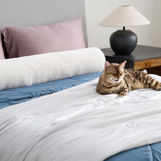 Edredom FURRFREE ChillGuard — Refrescante e repelente de pelos de animais de estimação para pessoas que dormem bem ou pais de animais de estimação