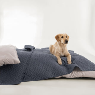 Conjunto de edredões FURRFREE Diamond Mosaic Pattern — repelente de pelos de animais de estimação para a família de cães/gatos
