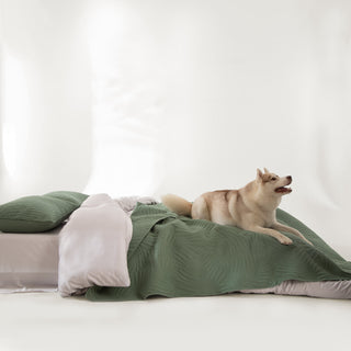 Conjunto de edredões com estampa de folhas de primavera FURRFREE — repelente de pelos de animais de estimação para famílias de cães/gatos