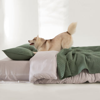 Conjunto de edredões com estampa de folhas de primavera FURRFREE — repelente de pelos de animais de estimação para famílias de cães/gatos