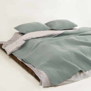 Conjunto de edredões FURRFREE — repelente de pelos de animais de estimação para famílias de cães/gatos