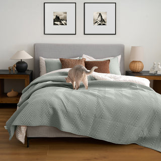 Conjunto de edredões FURRFREE — repelente de pelos de animais de estimação para famílias de cães/gatos