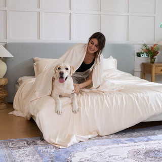 Conjunto de lençóis de bambu FURRFREE — repelente de pelos de animais de estimação para famílias de cães/gatos