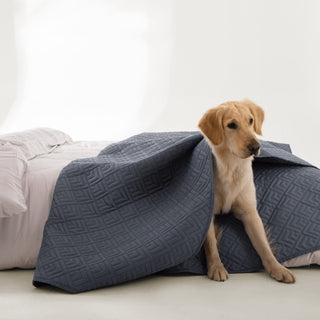 Conjunto de edredões FURRFREE Diamond Mosaic Pattern — repelente de pelos de animais de estimação para a família de cães/gatos
