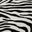 Zebra picante