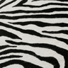 Zebra picante