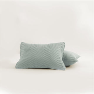Conjunto de edredões FURRFREE — repelente de pelos de animais de estimação para famílias de cães/gatos