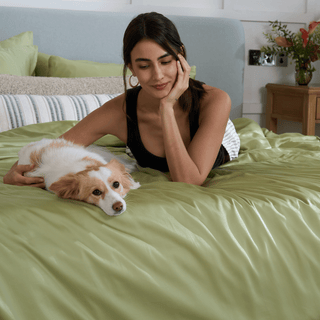 Conjunto de lençóis de bambu FURRFREE — repelente de pelos de animais de estimação para famílias de cães/gatos