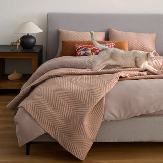 Conjunto de edredões FURRFREE — repelente de pelos de animais de estimação para famílias de cães/gatos