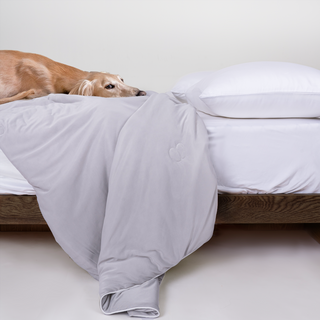 Edredom FURRFREE ChillGuard — Refrescante e repelente de pelos de animais de estimação para pessoas que dormem bem ou pais de animais de estimação