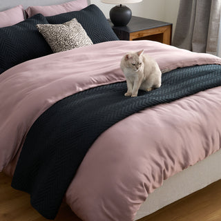 Conjunto de edredões FURRFREE — repelente de pelos de animais de estimação para famílias de cães/gatos