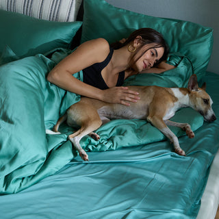 Pacote Furrfree Bamboo Move-In — repelente de pelos de animais de estimação para a família de cães/gatos