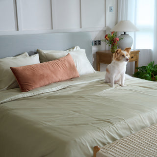 Conjunto de lençóis de bambu FURRFREE — repelente de pelos de animais de estimação para famílias de cães/gatos