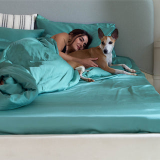 Conjunto de lençóis de bambu FURRFREE — repelente de pelos de animais de estimação para famílias de cães/gatos