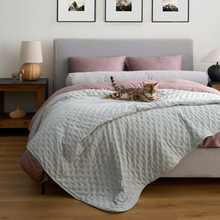 Conjunto de edredões com estampa pontilhada FURRFREE — repelente de pelos de animais de estimação para famílias com cães/gatos